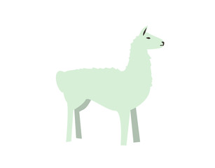 Funny alpaca, lama. Flat vector illustration. Isolated on white background
