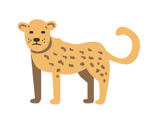 Cheetah, guepard. Flat vector illustration. Isolated on white background