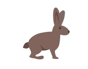 Hare, rabbit. Flat vector illustration. Isolated on white background