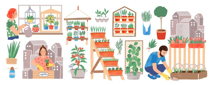 Urban gardening collection. People living in city cultivating plants, growing crops or vegetables in pots at home or on balcony isolated on white background. Colorful hand drawn vector illustration.