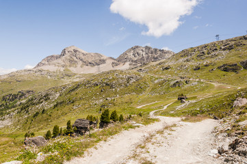Silvaplana, Corvatsch, Höhenweg, Wasserweg, Wanderweg, Furtschellas, Piz Mezdi, Piz Surlej, Oberengadin, Alpen, Graubünden, Sommer, Schweiz