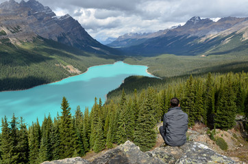 Peyto Lake View enjoy