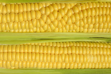 Cropped Shot Of Corn. Fresh Corn Close Up. Abstract Natural Background. Yellow Background. Fruits And Vegetables Background.