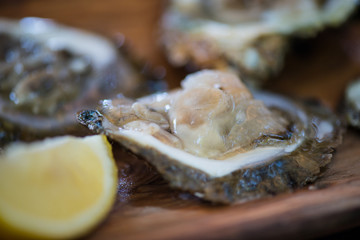 Oysters with lemon on wooden plate.