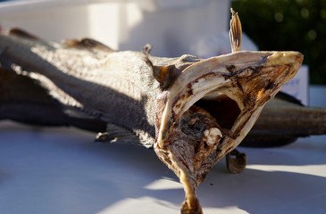 Norwegian tørrfisk (dry fish) 