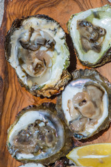Oysters with lemon on wooden plate.