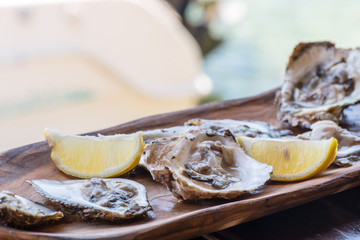 Oysters with lemon on wooden plate.