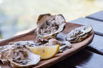 Oysters with lemon on wooden plate.