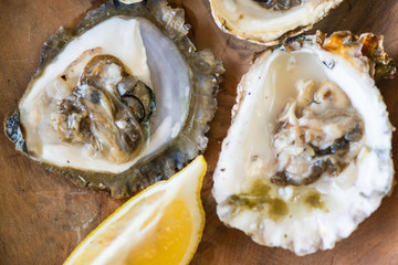 Oysters with lemon on wooden plate.