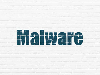 Protection concept: Painted blue text Malware on White Brick wall background