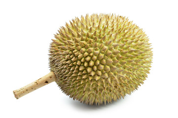Fresh durian on isolate white background