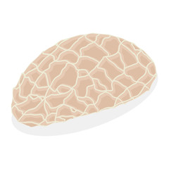 Raw beef tripe vector flat illustration isolated on white background.