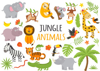 set van geïsoleerde jungle dieren en tropische planten - vectorillustratie, eps
