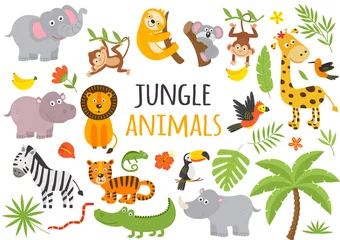 Raamstickers Zoo set van geïsoleerde jungle dieren en tropische planten - vectorillustratie, eps