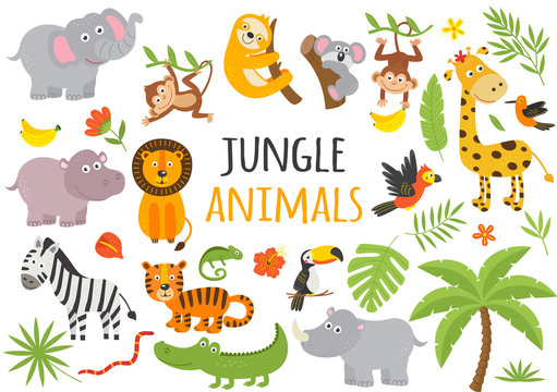 set of isolated jungle animals and tropical plants  -  vector illustration, eps