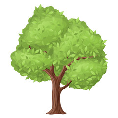 Tree illustration with green leaf. Vector illustration, isolated on white for eco, nature and fresh design - 213782310