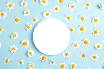 Blank round frame with chamomile flowers on blue background. Copy space for text.
