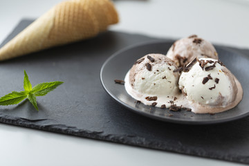Homemade chocolate ice cream with cinnamon and mint, sprinkle with chocolate