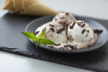 Homemade chocolate ice cream with cinnamon and mint, sprinkle with chocolate