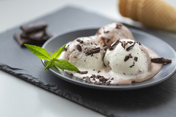 Homemade chocolate ice cream with cinnamon and mint, sprinkle with chocolate