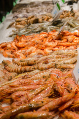 Seafood in assortment, royal shrimps.