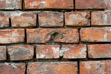 Fototapeta premium Old brick wall without plaster with cracked bricks