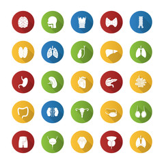 Internal organs flat design long shadow glyph icons set