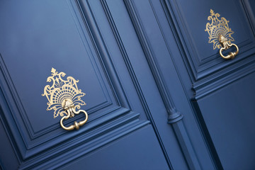 Door and knockers