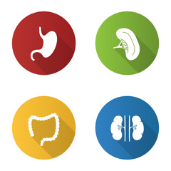 Internal organs flat design long shadow glyph icons set
