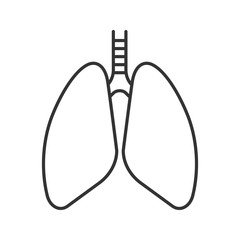 Human lungs linear icon