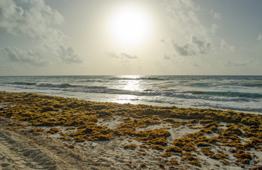 Caribbean Sea beach with sky horizon and water. Wave, cloud