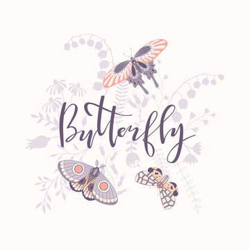 Illustration with silhouettes of flowers, inscription and butterflies