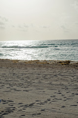 Caribbean Sea beach with sky horizon and water. Wave, cloud
