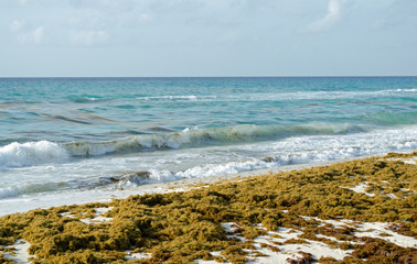 Caribbean Sea beach with sky horizon and water. Wave, cloud