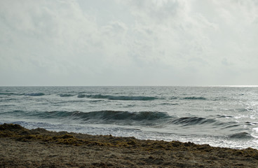 Fototapeta na wymiar Caribbean Sea beach with sky horizon and water. Wave, cloud