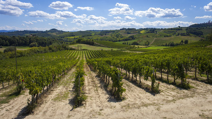 Fototapeta na wymiar Wine vineyard in San Gimignano, Tuscany on a sunny afternoon