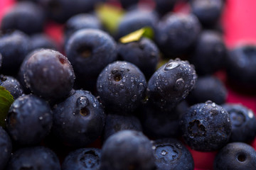 Closeup of ripe fresh blueberries with drops of water, macro shot.