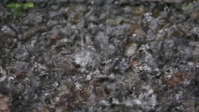 Tropical rain drops falling on the stone surface in garden. Bali, Indonesia. Close up