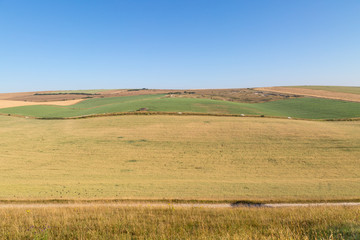 Obraz premium Sussex farm landscape during a hot, dry summer