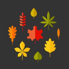 Autumn leaves flat vector icons set. Tree leaves flat vector icons set