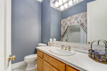 White and blue bathroom in a luxury country house