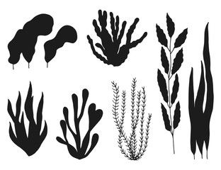seaweed silhouette on white background set. leaves and twigs sea plants