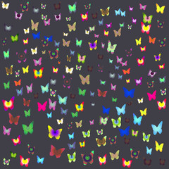 Numerous colorful butterflies
