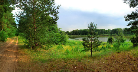 Panoramic view of the lake in the forest in summer