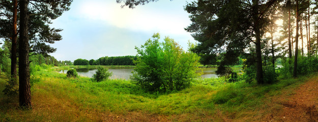 Panoramic view of the lake in the forest in summer