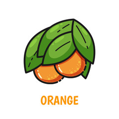 Orange fruits with leaves, cute flat style. Vector illustration isolated