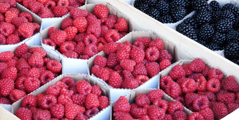 Raspberries and blackberries fruits berries on market in boxes