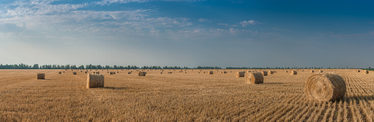 Agricultural landscape with haystacks