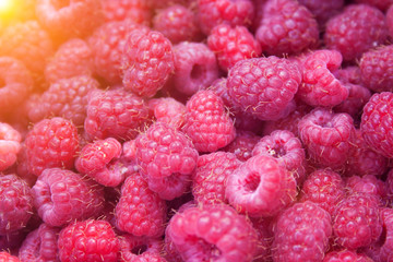 Heap of red raspberries