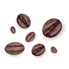 Coffee beans, roasted coffee beans. Vector realistic set isolated on white background.